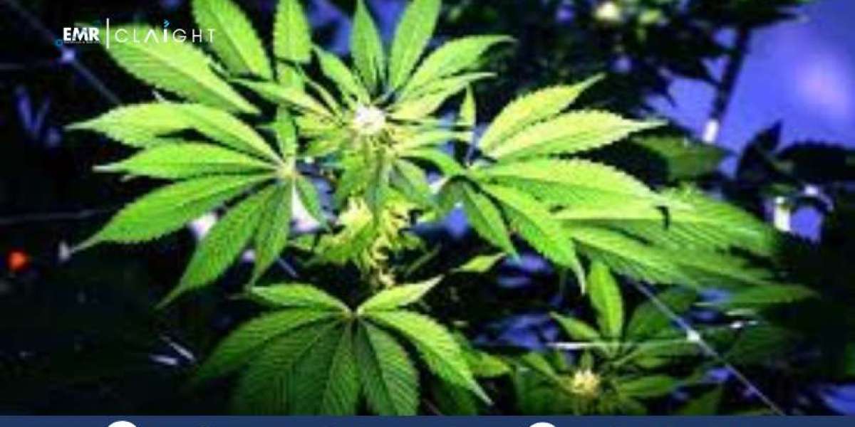 Legal Marijuana Market Insights | Size & Share Outlook 2034