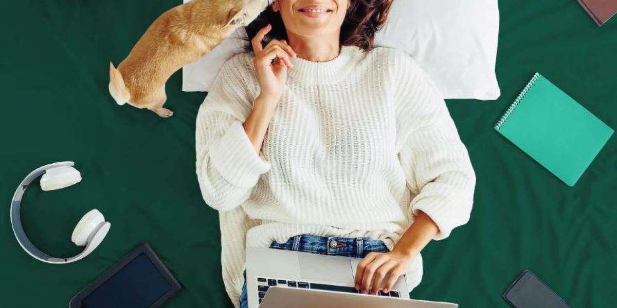 Cat Insurance Options: Customizable Plans for Your Feline