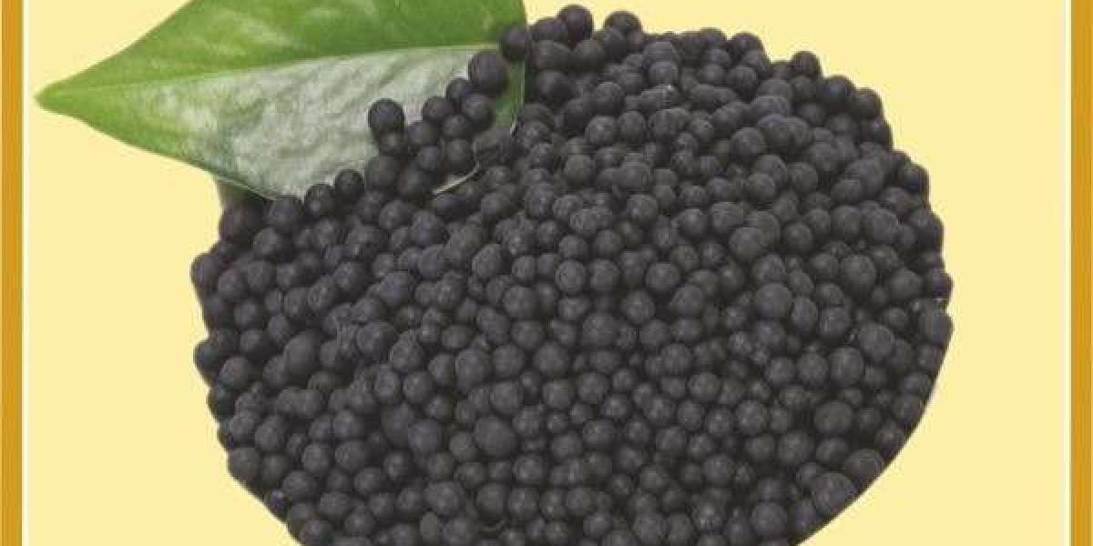 Step-by-Step Guide to Setting Up a Bio Granules Manufacturing Plant