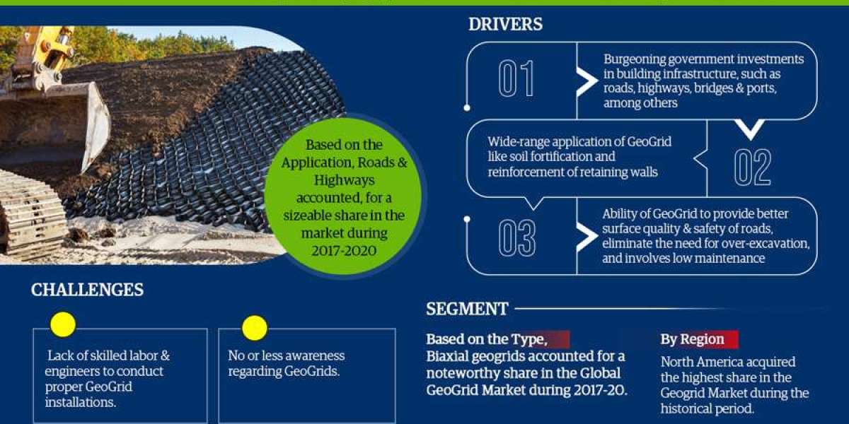 Geogrid Market Forecast: Demand, & Player Insights 2027