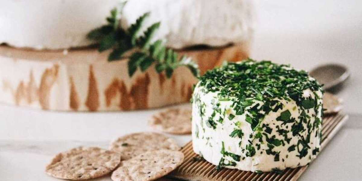 Setting Up a Plant-Based Cheese Manufacturing Plant: Key Considerations and Steps