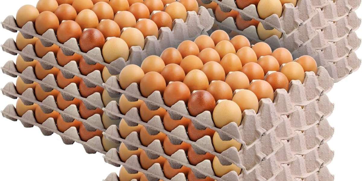 Why Buying Egg Cartons in Bulk is a Smart Move for Poultry Businesses