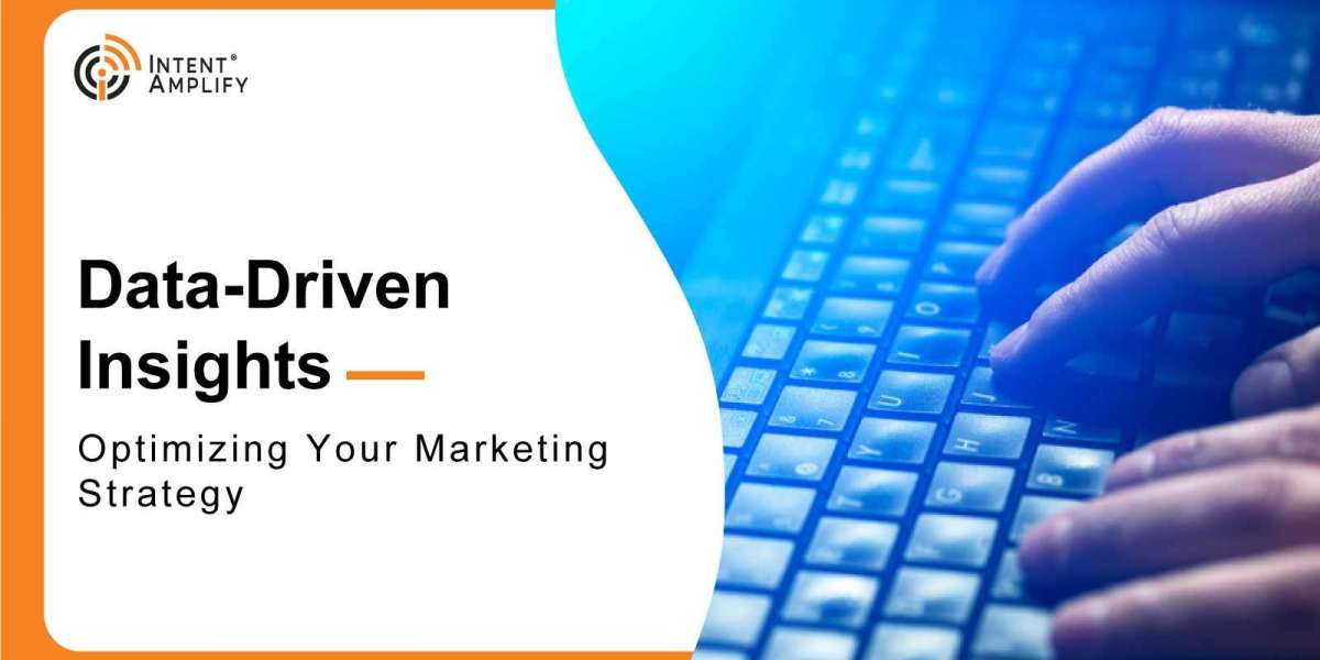 Data-Driven Insights: Optimizing Your Marketing Strategy