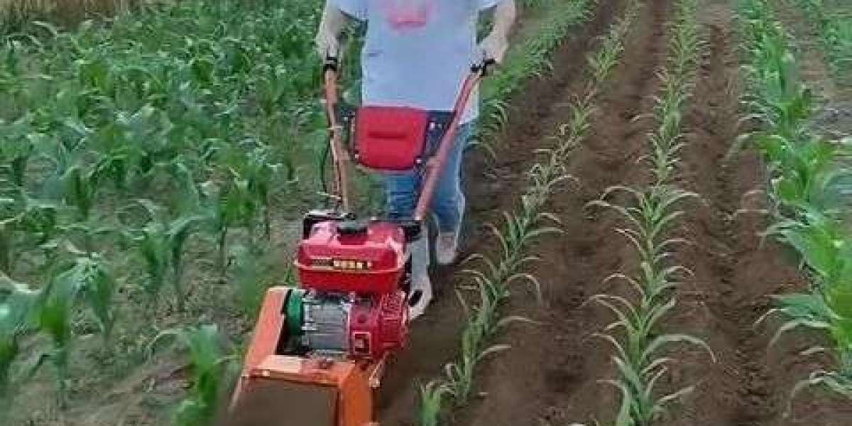 Next-Level Farming Tools: Elevate Your Crops with the Dynamic WEEDER MACHINE Experience
