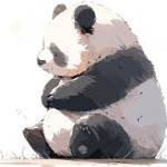 xing fafa