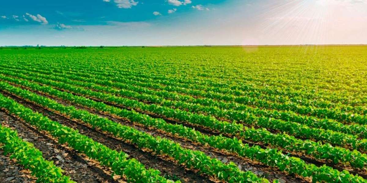 Agricultural Trade: Feeding Nations, Boosting Economies