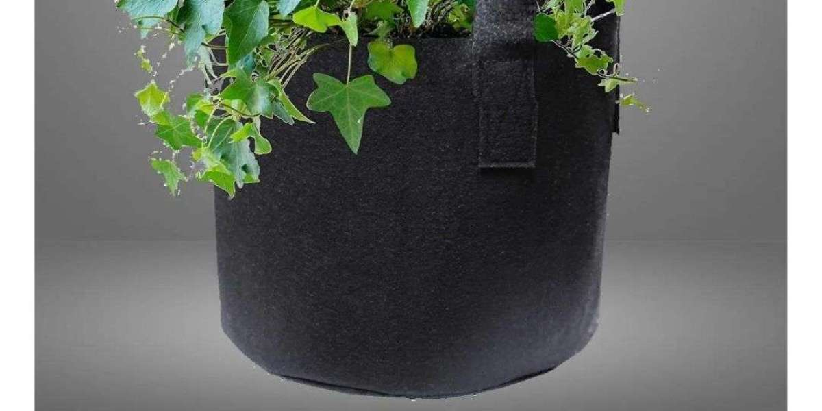 Discover the Benefits of Grow Bags: The Ultimate Solution for Urban Gardening