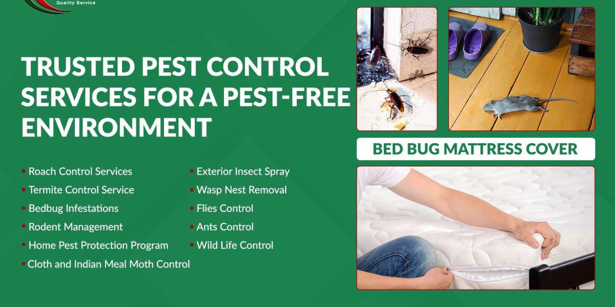 Wasp Nest Removal Vaughan: Safe & Reliable Extermination Services