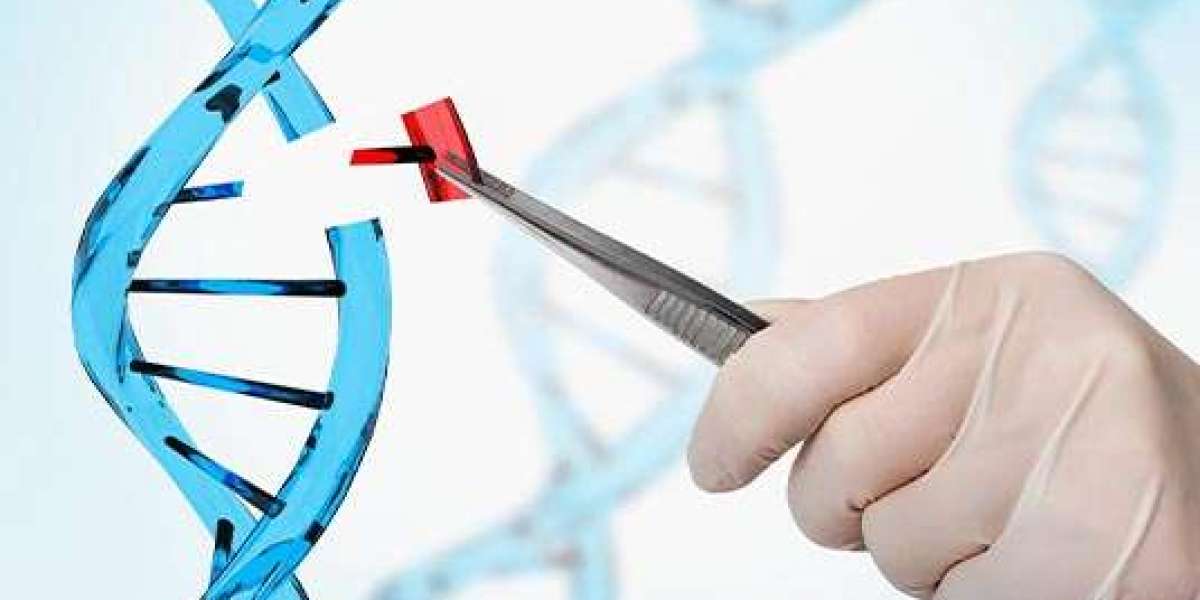 Elevating Animal Behavioral Research with Protheragen’s Comprehensive Modeling Solutions