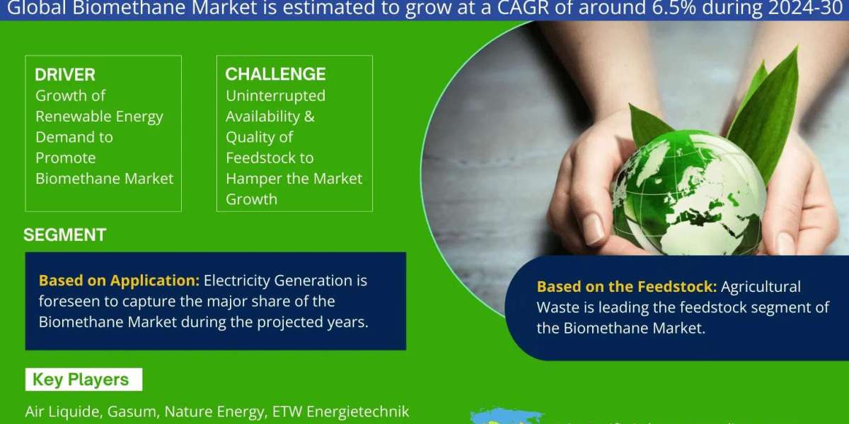Biomethane Market Size, Share, Growth, and Forecast Analysis