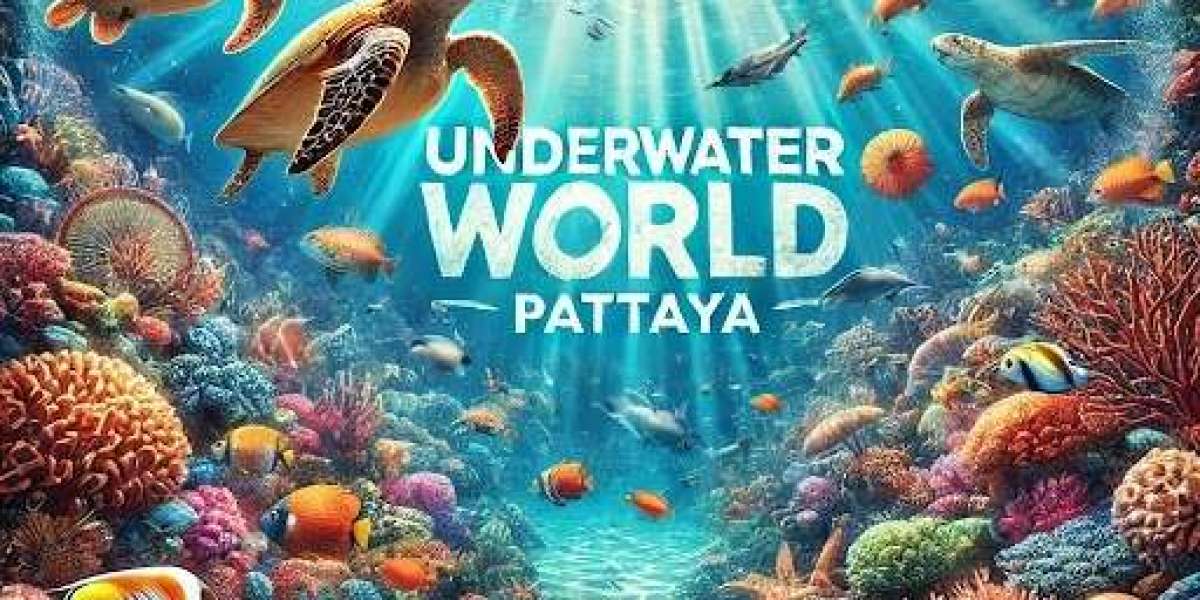 Underwater World Pattaya | Explore Thailand’s Top Marine Aquarium