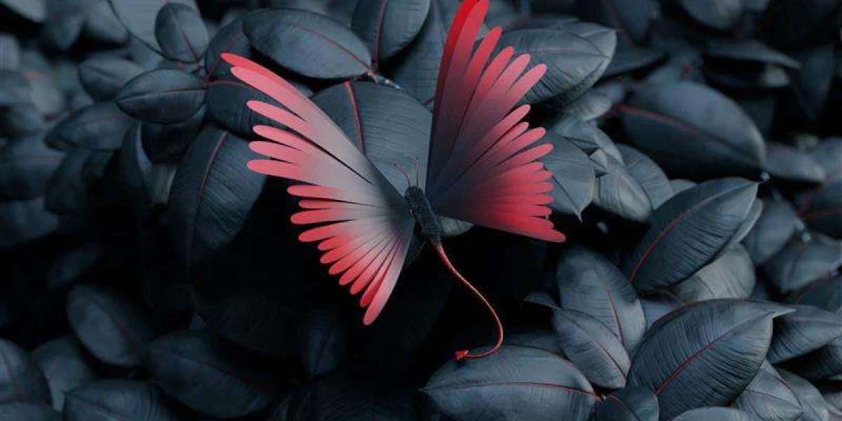 Miototo:  A New Wave in Digital Creativity