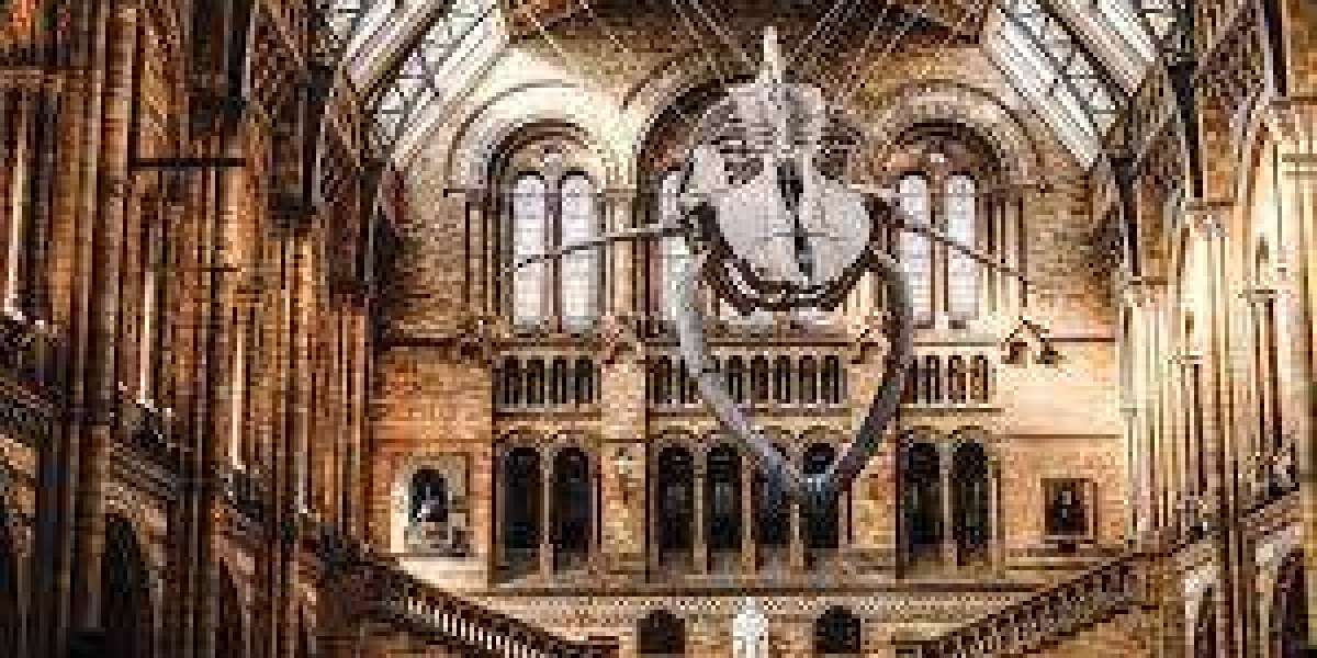 Behind the Scenes: Building a Website for a London Museum