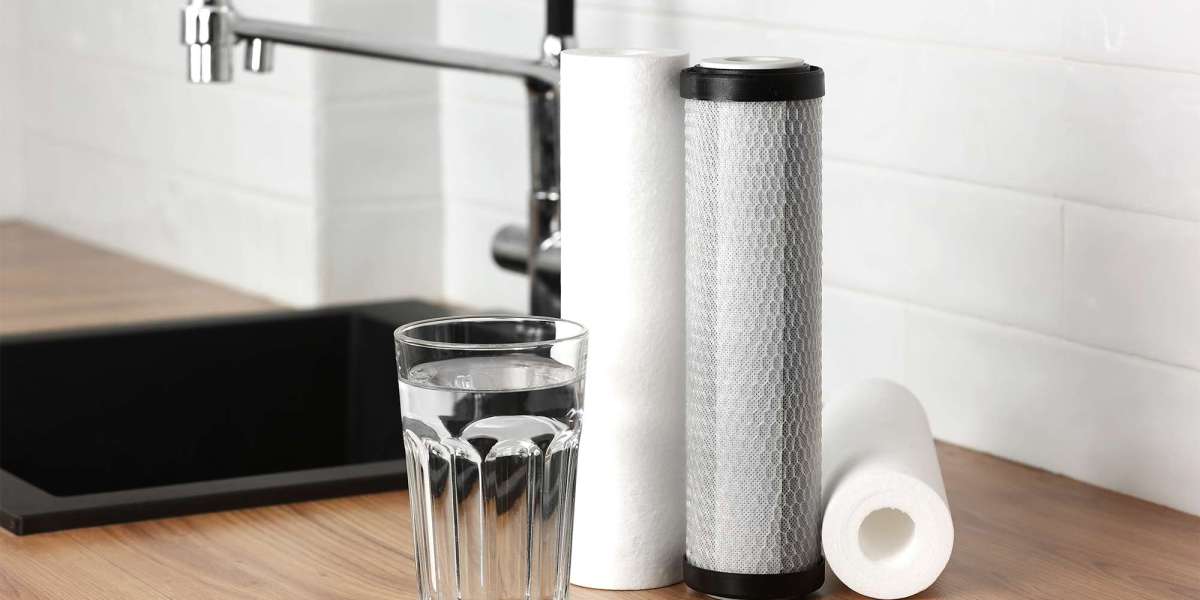 How a Water Filter Manufacturing Company Shapes Safe Drinking Solutions for the Future