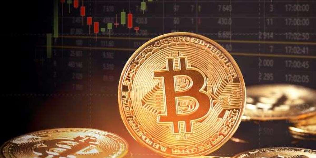 Snorter Token and the Psychology of Viral Investing: Why People Buy What Makes Them Laugh