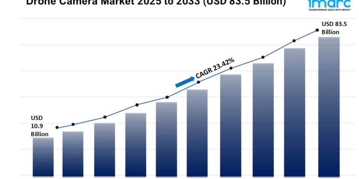 Drone Camera Market Size, Trends, Growth, and Forecast 2025-2033