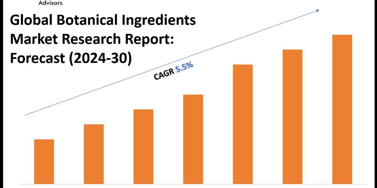 Botanical Ingredients Market Outlook: Size, Share, and Competitive Trends 2030