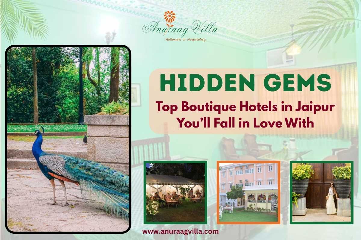 Hidden Gems: Top Boutique Hotels in Jaipur You’ll Fall in Love With