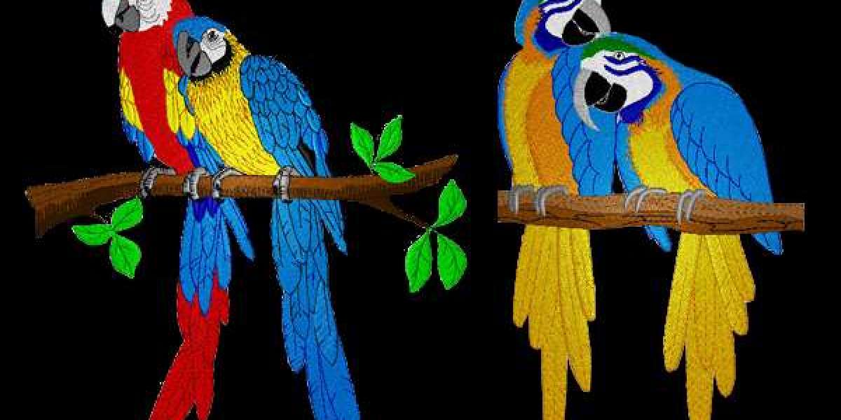 Can I Customize Orders With the Stylish Embroidery Digitizing Services?