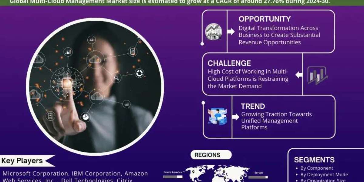 Multi-Cloud Management Market Trends and Growth Drivers Analysis 2030