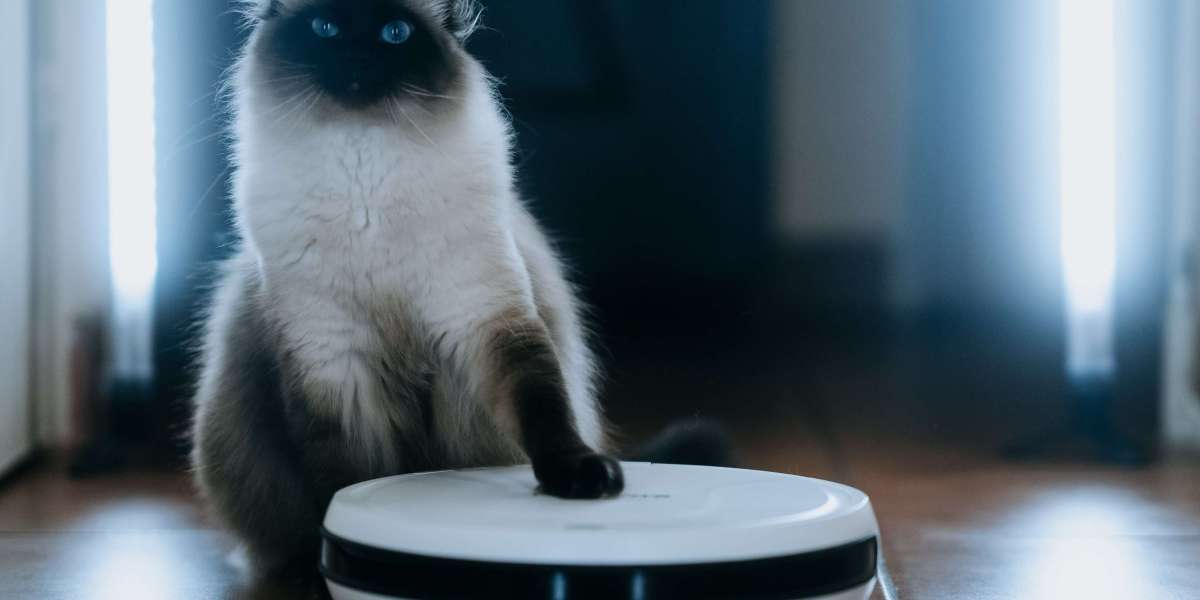 8 Tips To Improve Your Robot Vacuum Cleaner Comparison Game