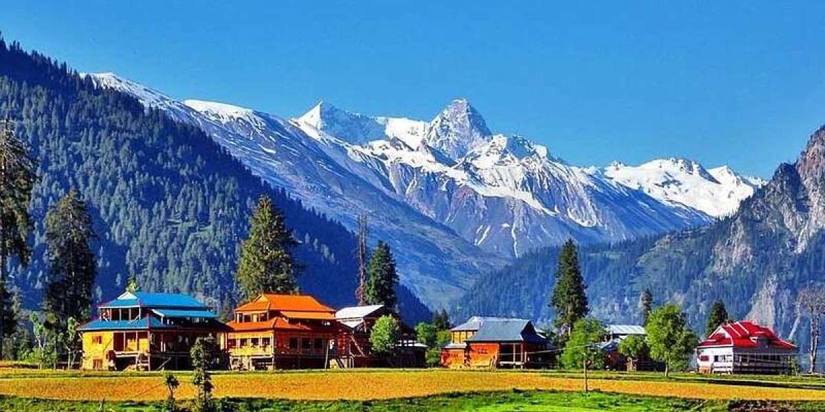 Shopping in Gurez Valley and Exploring Salim Ali National Park: A Complete Kashmir Travel Guide (2025)