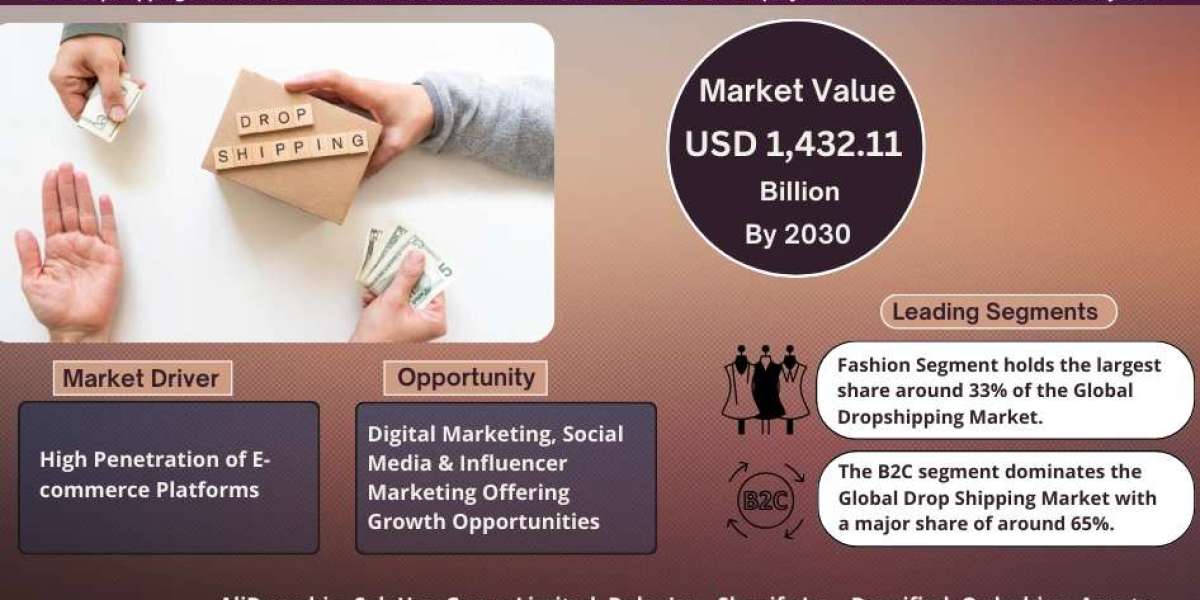 Dropshipping Market Dynamics – Driver, Segment & Competition FY2030