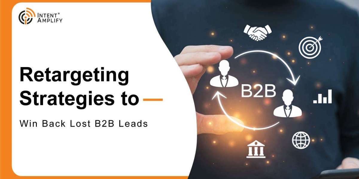 Retargeting Strategies to Win Back Lost B2B Leads