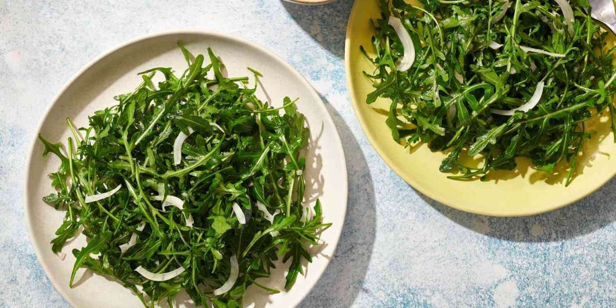 Project Report on Arugula Processing Plant Setup