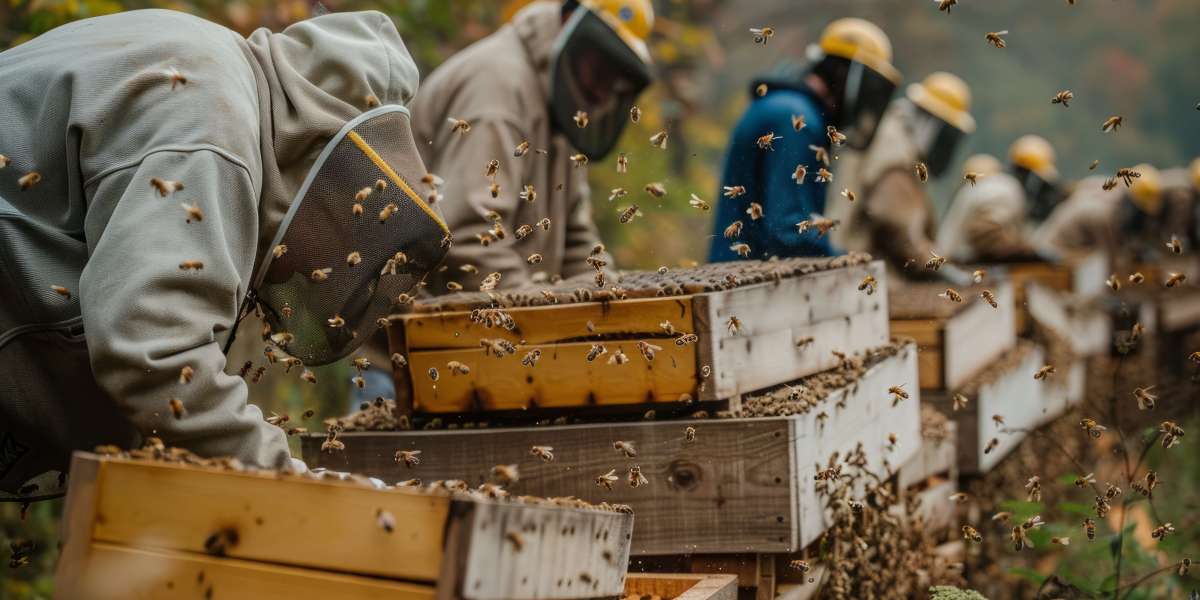 Smart Beekeeping: How IoT and Innovation Are Saving Honeybee Populations