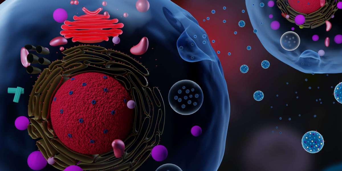 How ChiRP and ChiRP-MS Illuminate RNA-Chromatin Dynamics <br> <br> 