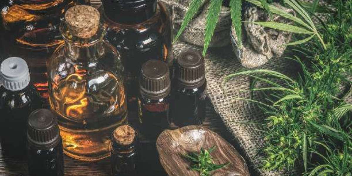 Which Applications Are Driving Demand in the Industrial Hemp Market?