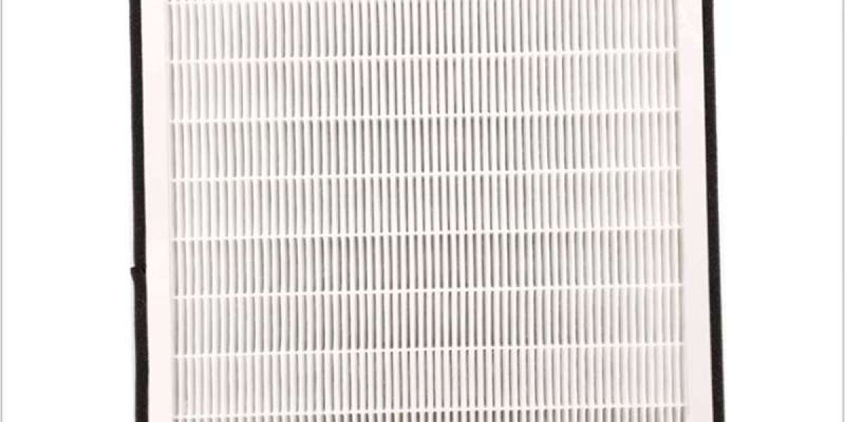 HEPA H10 Filters: The First Line of Defense in Basic Air Purification