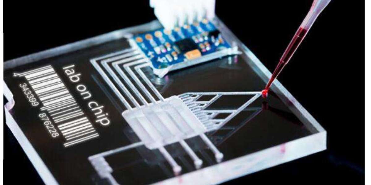 From Manual to Automated: The Evolution of High-Throughput Sequencing Technologies
