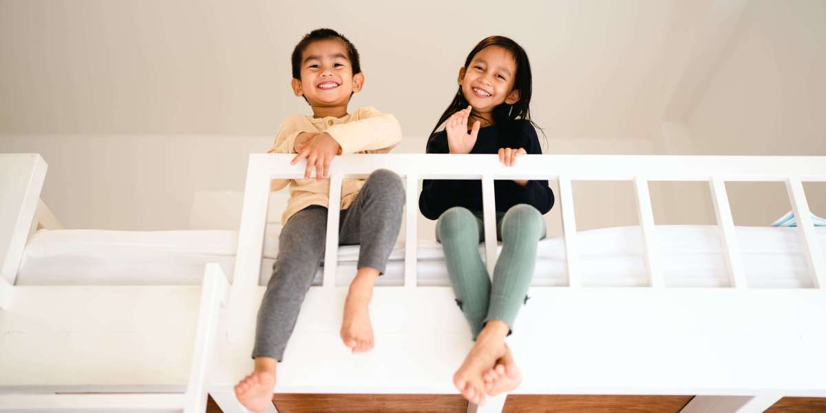 Guide To Bunk Beds For Adults: The Intermediate Guide For Bunk Beds For Adults