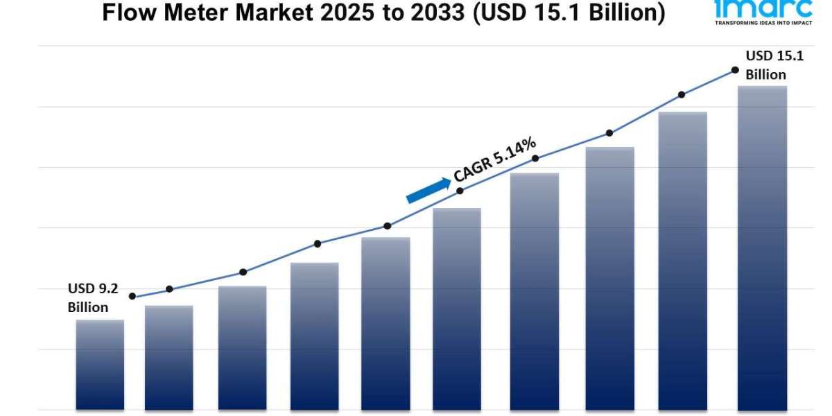 Flow Meter Market Report 2025 | Growth, Trends, and Forecast by 2033