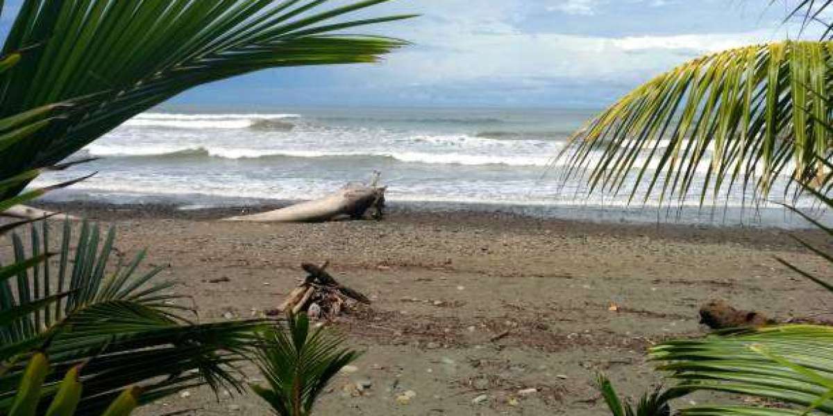 Dominical Costa Rica Real Estate: What Buyers and Sellers Need to Know