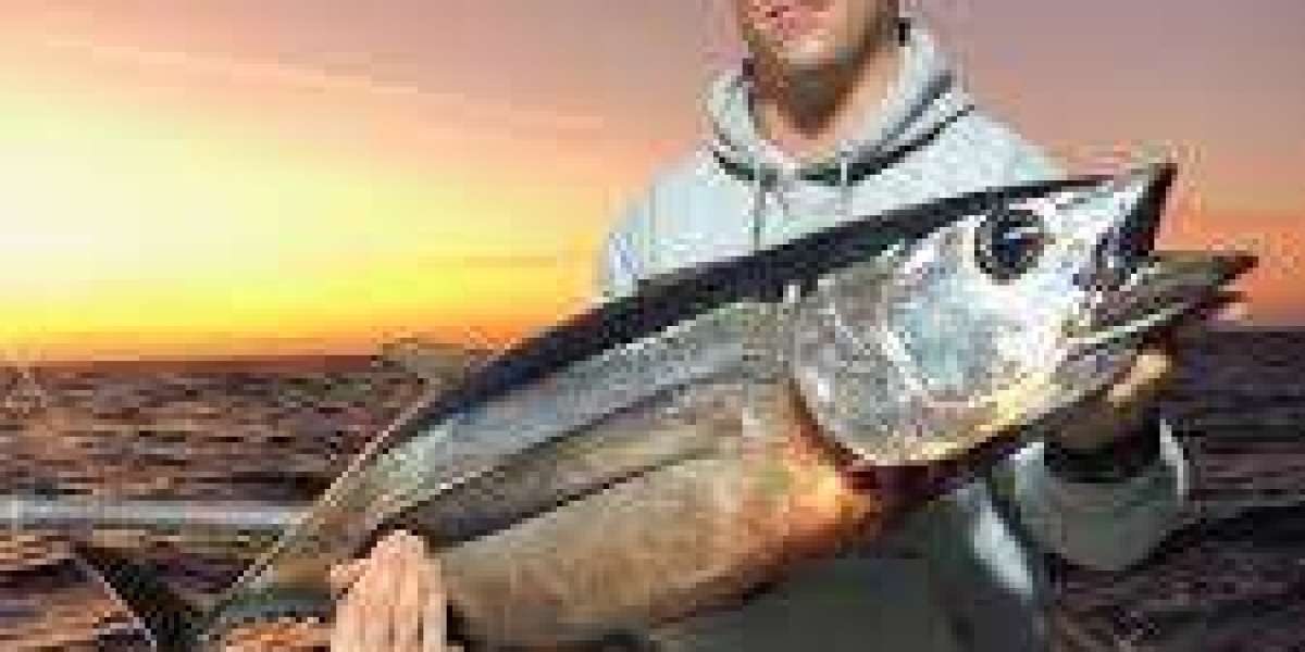 The Swift Hunter: Unveiling the Secrets of the Barracuda