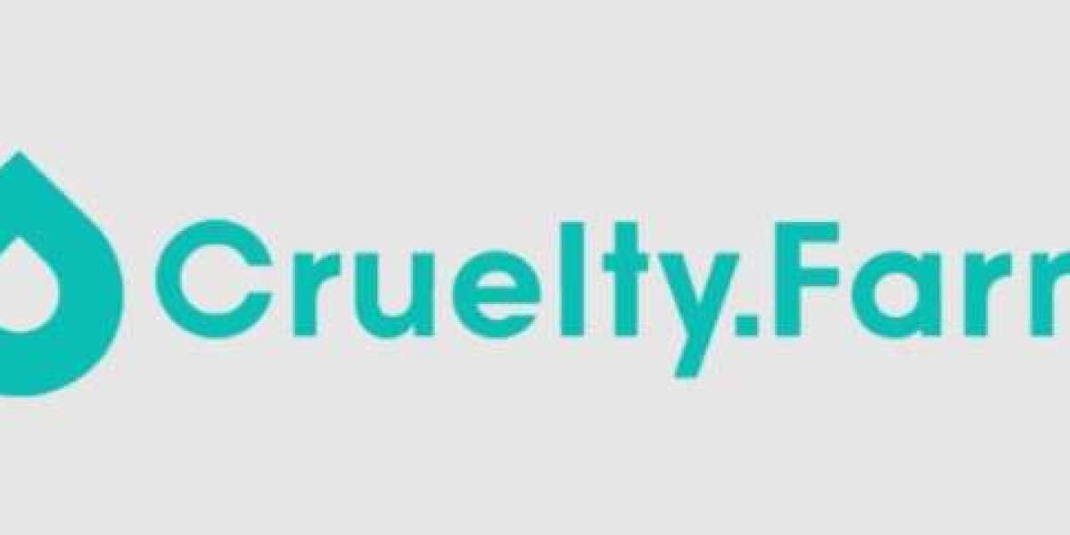 Celebrating Progress in Animal Welfare Initiatives