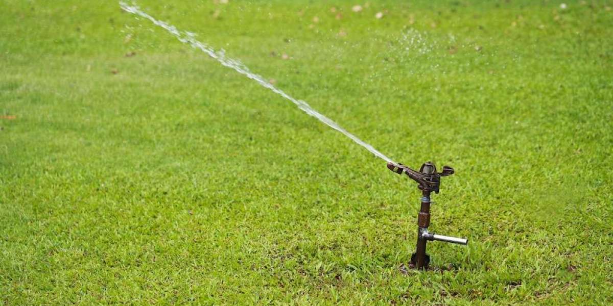 Is Too Much Water Bad for New Turf? Understanding the Risks