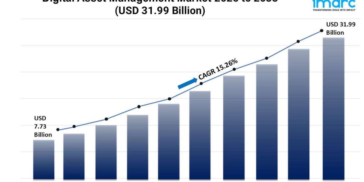 Digital Asset Management Market Trends, Growth, and Forecast 2025-2033