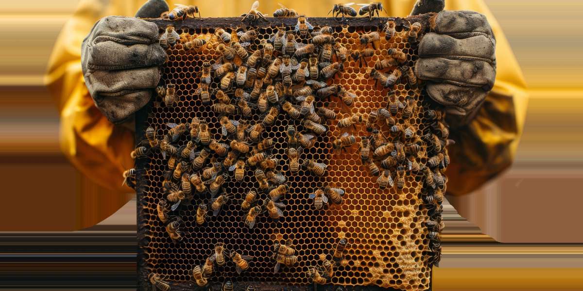 Revolutionizing Apiculture: How IoT and Smart Sensors are Transforming Beekeeping
