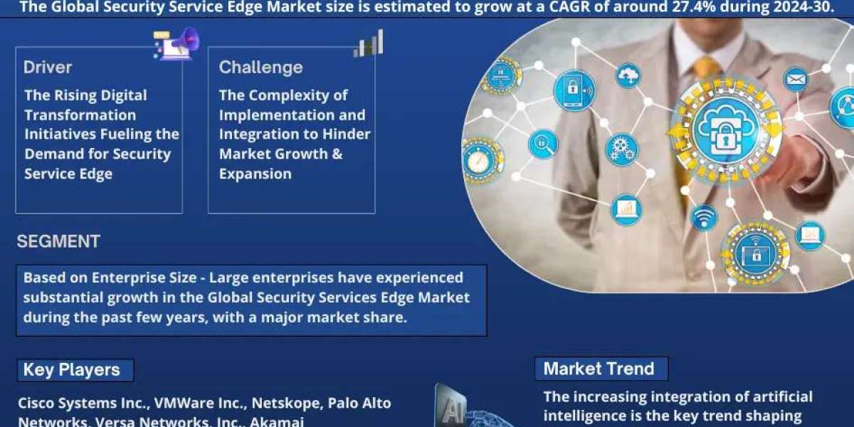 Security Service Edge Industry Share, Size, and Competitive Landscape 2030