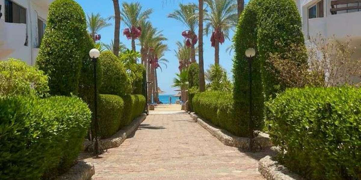 Red Sea Happy Tour – Excursii de Neuitat în Hurghada