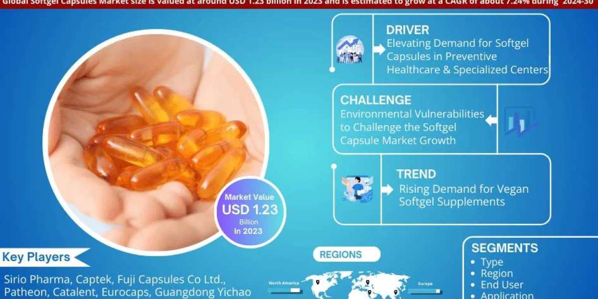 Softgel Capsules Market to Grow at 7.24% CAGR by 2030 | MarkNtel Advisors