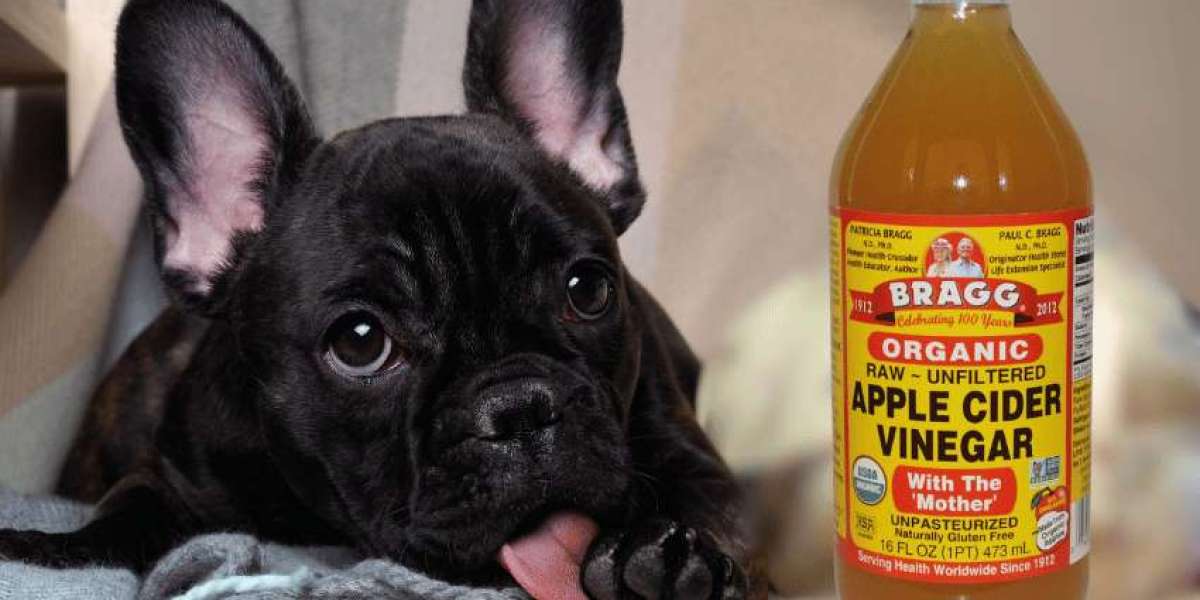 Apple Cider Vinegar for Dogs: Benefits