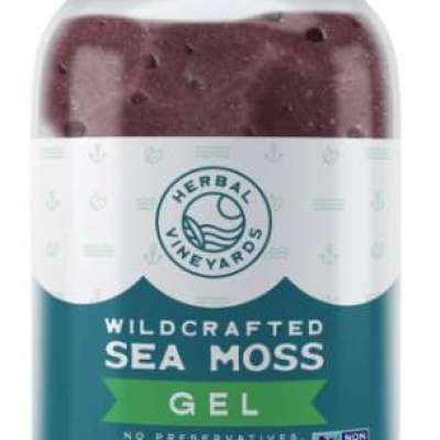 Unlock Superior Wellness with Herbal Vineyards' Exclusive Purple Sea Moss Gel Profile Picture