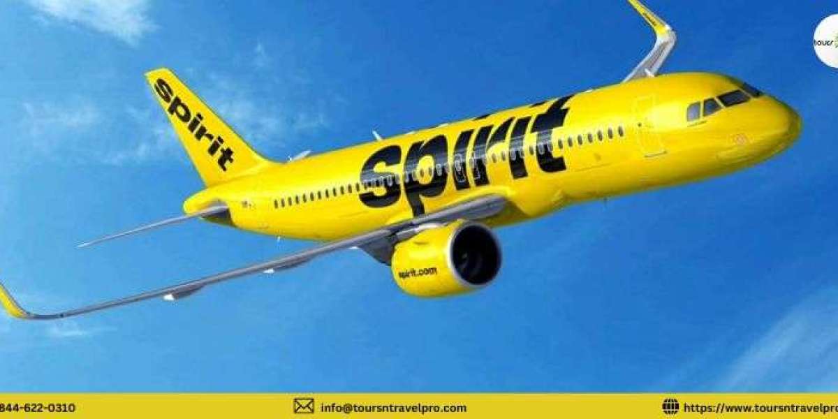 Spirit Airlines Name Change Policy