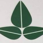 Seceon Inc