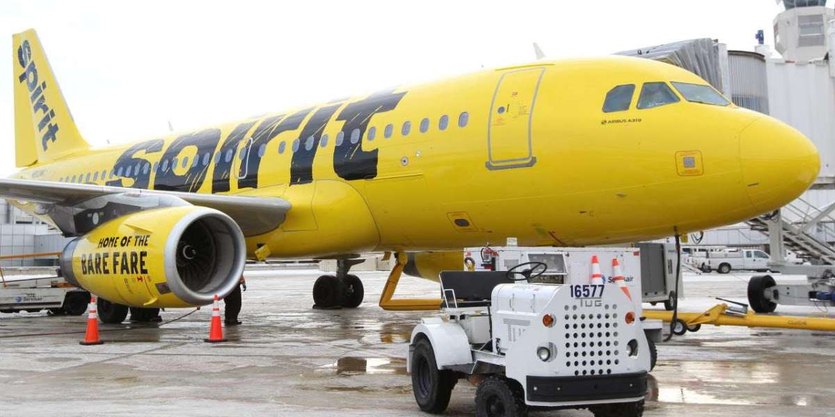 Your Essential Guide to the Spirit Airlines New York Office